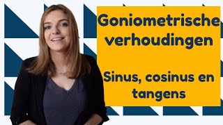 Goniometrische verhoudingen  Sinus cosinus en tangens │BijlesHuis [upl. by Ayanahs]