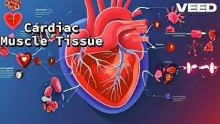 Cardiac Muscle Tissue  The Heart of the Matter [upl. by Aihsila630]