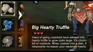 Big Hearty Truffle  Farming Location 1  Zelda BOTW [upl. by Damiano192]