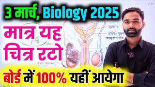 Biology के सभी महत्वपूर्ण चित्र वाले प्रश्न  Class 12th Biology important questions 2025 Board Exam [upl. by Aimek95]