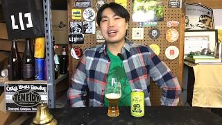 Bells Hopslam Ale Still Most Overrated quotHypequot IPA Review  Ep 1902 [upl. by Ademla957]