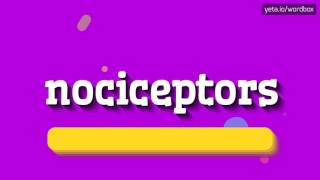 NOCICEPTORS  HOW TO PRONOUNCE IT [upl. by Enywad]