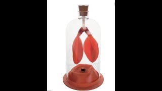 Bell jar model of the human breathing system [upl. by Solana181]