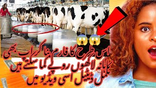 How to start small cow farm in Pakistancow farming in Pakistanfarming in Pakistan [upl. by Auoz279]