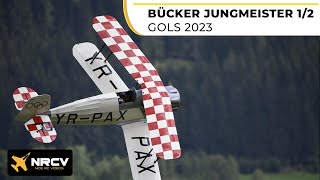 GIANT Bücker Jungmeister 12  Christof Mohr  MOKI 250ccm  JETI Duplex Gols 2023 [upl. by Tine]