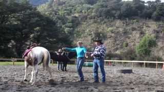 What is the Deal with Ken Dromgool Horsemanship Clinics [upl. by Yeslek]