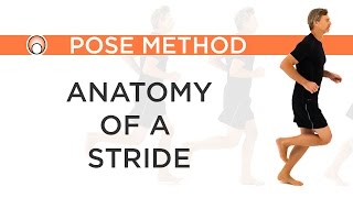 Improve your Running Form  Anatomy of a Stride [upl. by Harty]