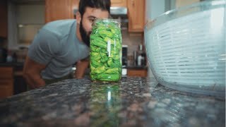 Making Homemade Pepperoncini Peppers  Cooking with Jacob [upl. by Assadah]