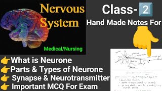 Neuron Synapse neurotransmitter Nerve system CNS PNS ANS online classes [upl. by Lund182]