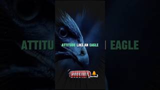 Attitude like an eagle  Strength like a tiger motivation shorts [upl. by Anak904]