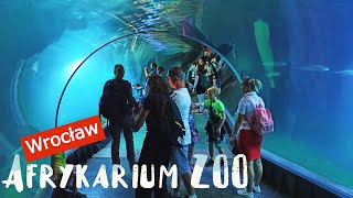 Afrykarium  Oceanarium  Wrocław ZOO [upl. by Rexana68]