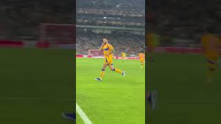 GOLAZO GIGNAC RAYADOS vs TIGRES 🐯 [upl. by Colline]