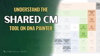 5 Things To Know About DNA Painter Shared cM Tool Genetic Genealogy [upl. by Kaslik]