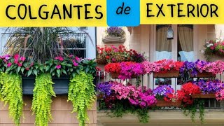 12 Increíbles Plantas Colgantes de EXTERIOR [upl. by Viviene]