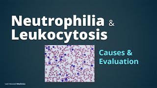 Neutrophilia amp Leukocytosis  Pathophysiology of Leukocytosis Causes amp Evaluation [upl. by Aleacin26]