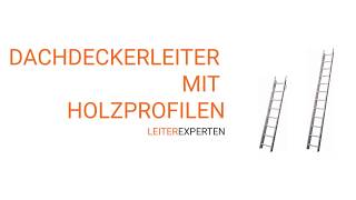 Dachleiter für Dacharbeiten  Leiter Experten [upl. by Stalker]