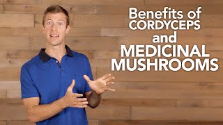 Benefits of Cordyceps and Medicinal Mushrooms [upl. by Materse]