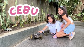 Exploring Cebu Part 2 Ocean Park Adventure Best Thai Restaurant Benjarong amp moving to Mactan [upl. by Samanthia]