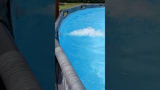 Intex QX2600 🌊🧂 Salzwassersystem mit Solar 🌞 betreiben  Pool war 1 Tag vorher noch grün ♻️ 🌱 [upl. by Ray]