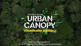 Urban Canopy  നഗരത്തിരക്കിലെ ഇത്തിരിപ്പച്ച  Documentary film with English subtitle [upl. by Noevart]