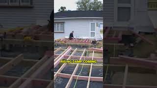 Building Timber Subfloor Explained timbersubfloor foundations buildingexplained [upl. by Initirb]