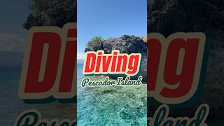 Diving Pescador Island  scubadiving snorkeling diving [upl. by Fonseca]