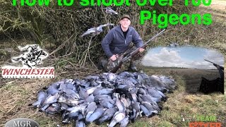 Best Pigeon shooting 2 How to shoot over 100 pigeons in a day [upl. by Ahsinyt840]