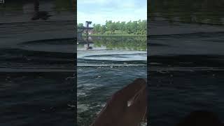 Fishing for Cannibal Eel Ghent Terneuzen Fishing Planet pc game bait gamingvideo [upl. by Divadleahcim]