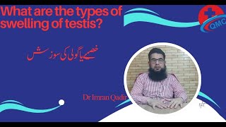 What are the types of swelling of testis خصیے یا گولی کی سوزش Dr imran Qadir [upl. by Tenney245]