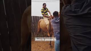 Não paro de rir com esse vídeo 📹 kk videos memes memesolteiro humor comedia piadas pegadinha [upl. by Leiso]