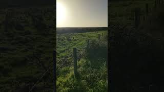 View near Abbotsbury Dorset [upl. by Latimore]