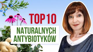 NATURALNE antybiotyki na odporność zioła i przyprawy TOP 10 najlepszych [upl. by Ifar]