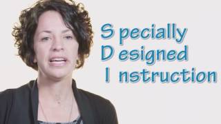 Special Education  The Basics of an Individualized Education Program IEP [upl. by Carpet]