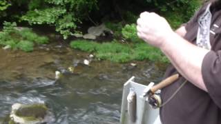 Smoky Mountain Bridge Fishing [upl. by Jar]