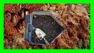 Best Way To Make Soil Acidic Naturally For Blueberries How to Make Blueberries Soil Mix [upl. by Ekalb]