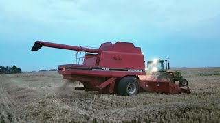 1682 and 860 massey finish the malt barley [upl. by Dahlia]