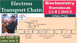 Electron Transport Chain  ETC  L8 Unit2  Biochemistry [upl. by Sisenej]