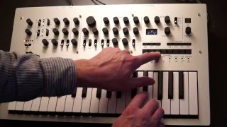 Korg Minilog PlugInGuru Quicke Tour [upl. by Semreh]