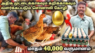 சொனாலி கோழி வளர்ப்பில் மாதம் 40000 வருமானம்  sonali chicken farm in tamil  poultry farm [upl. by Abelard]