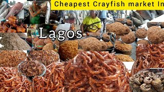 Cheapest Crayfish  Seafood Market In Lagos Nigeria [upl. by Nilhtac]