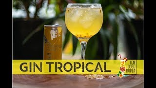 Gin Tropical  RECEITA IMPERDÍVEL [upl. by Atteinotna]