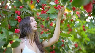 The Calming Sounds of Summertime Harvesting Cooking and Gardening [upl. by Yecam]