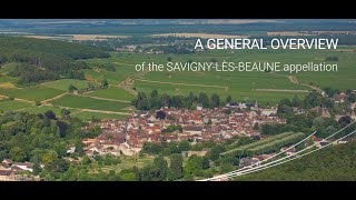 A general owerview of the SavignylèsBeaune appellation [upl. by Hazrit]