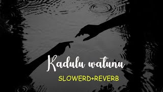 Kandulu Wetunu Neth  කඳුලු වැටුනු නෙත් SlowedReverb HirushanGotaudioz [upl. by Mitch]