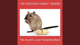 THE CROCODILE SUNSET  ROGERS [upl. by Genovera]