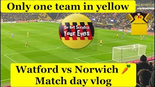 Watford vs Norwich match day vlog [upl. by Aerdnak]