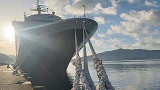 Sailors or deckhands operate and maintain the vessel and deck equipment [upl. by Dewees111]