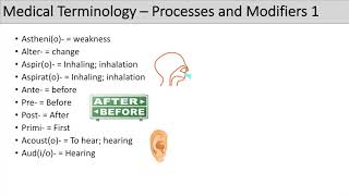 Medical Terminology  The Basics  Lesson 5 [upl. by Jobie504]