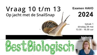 Biologie examen HAVO 20241e tijdvak Vraag 10 tm 13 [upl. by Sibbie177]