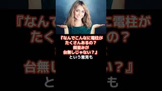 フランス人が驚いた⁉ 日本の電柱に隠された秘密とその魅力 日本の電柱 フランス人の驚き 日本文化 地震対策 電柱風景 景観 [upl. by Tullus296]